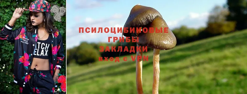 Псилоцибиновые грибы MAGIC MUSHROOMS  Верхний Уфалей 